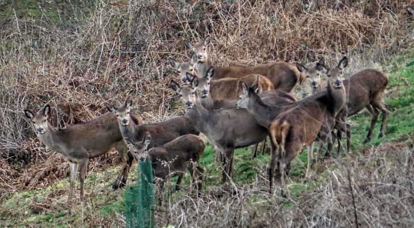 Photo of Barn Cottage, Brayford