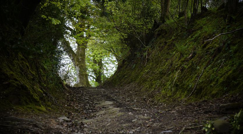 Photo of Barn Cottage, Brayford