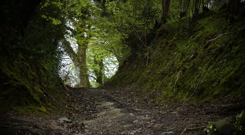 Photo of Orchard Cottage, Brayford