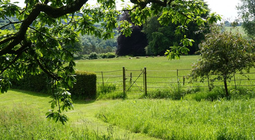 Photo of Orchard Cottage, Brayford