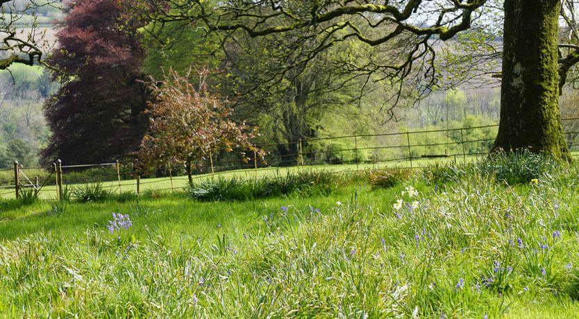 Photo of Orchard Cottage, Brayford