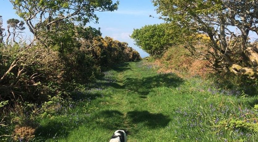 Photo of Pip's Corner, Lynton