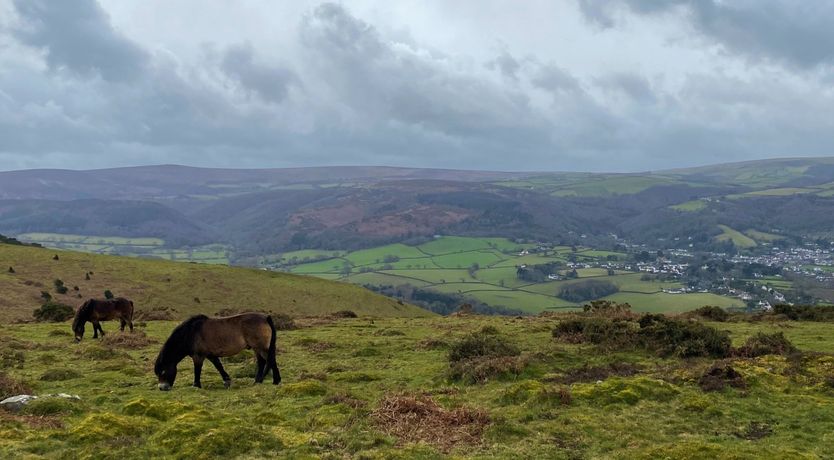 Photo of Barn Cottage, Minehead