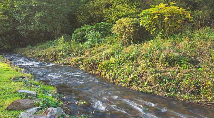 Photo of Bratton Mill Farmhouse, Bratton Fleming
