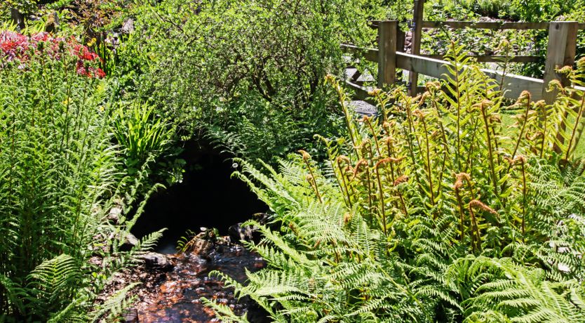 Photo of Cascade Cottage, Exford