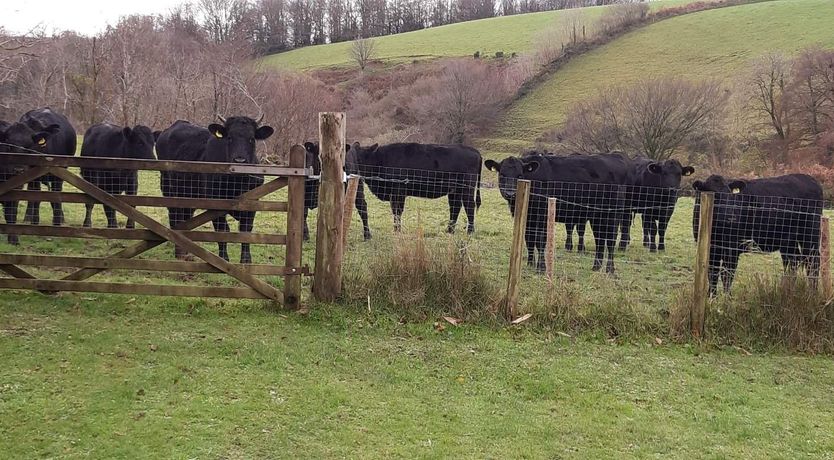 Photo of Brook Cottage, Challacombe
