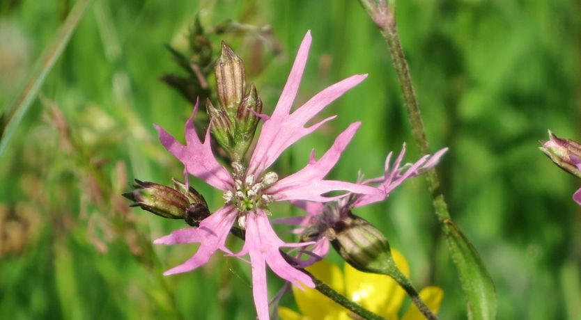 Photo of West Huckham Barn, near Wheddon Cross