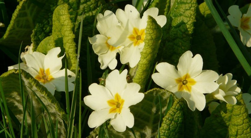 Photo of West Huckham Barn, near Wheddon Cross