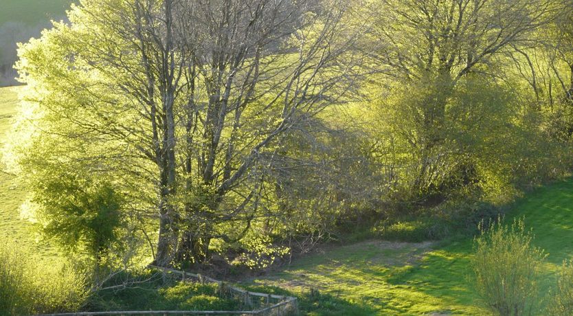 Photo of West Huckham Barn, near Wheddon Cross