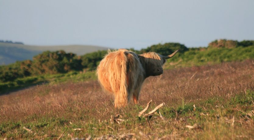 Photo of Chapel Cottage, Exford