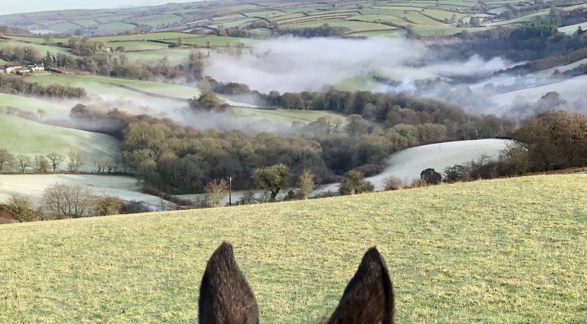 Photo of The Piggery, Dulverton