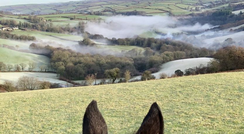Photo of The Piggery, Dulverton