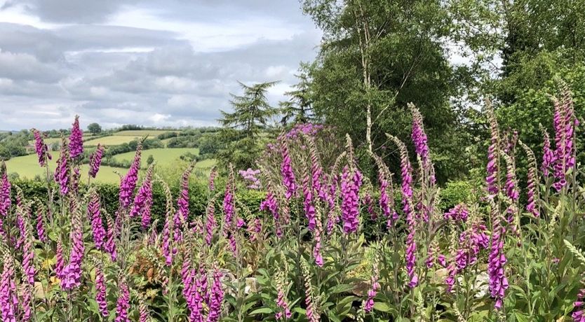Photo of The Piggery, Dulverton