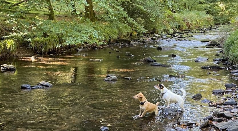 Photo of The Piggery, Dulverton