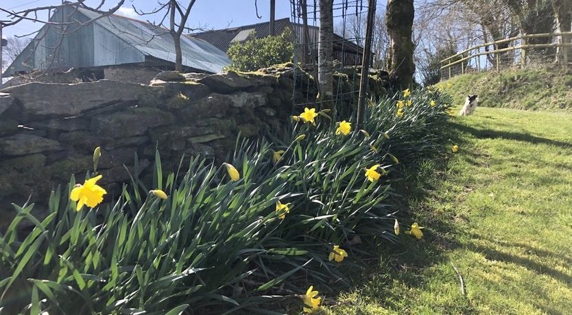 Photo of The Piggery, Dulverton