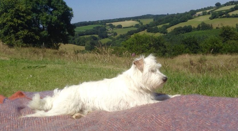 Photo of The Piggery, Dulverton