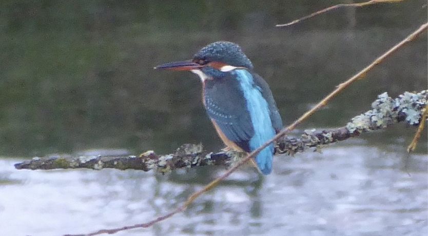 Photo of The Piggery, Dulverton