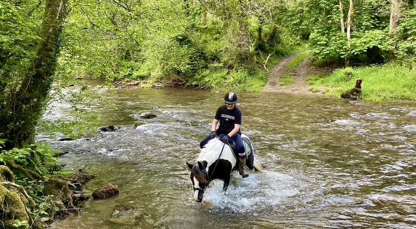 Photo of The Piggery, Dulverton
