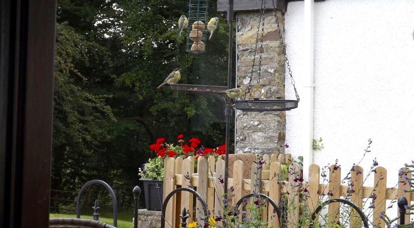 Photo of Dairy Cottage, Dulverton