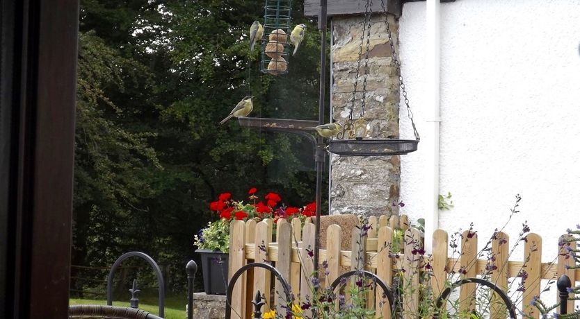 Photo of Dairy Cottage, Dulverton