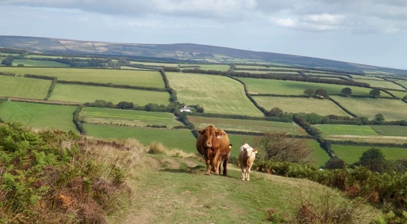 Photo of Dairy Cottage, Dulverton