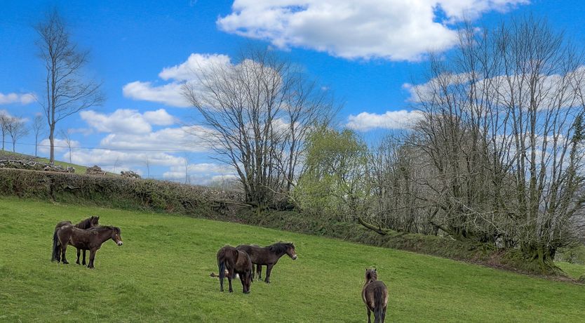 Photo of Dairy Cottage, Dulverton