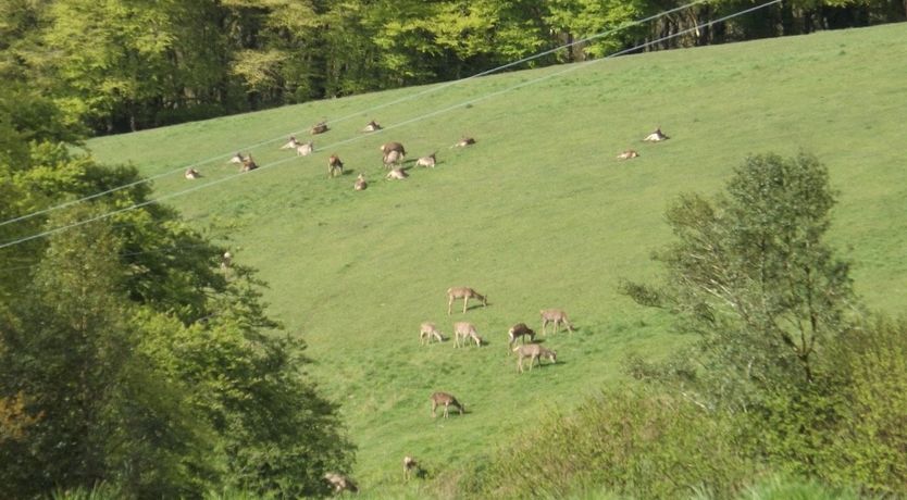 Photo of Dairy Cottage, Dulverton