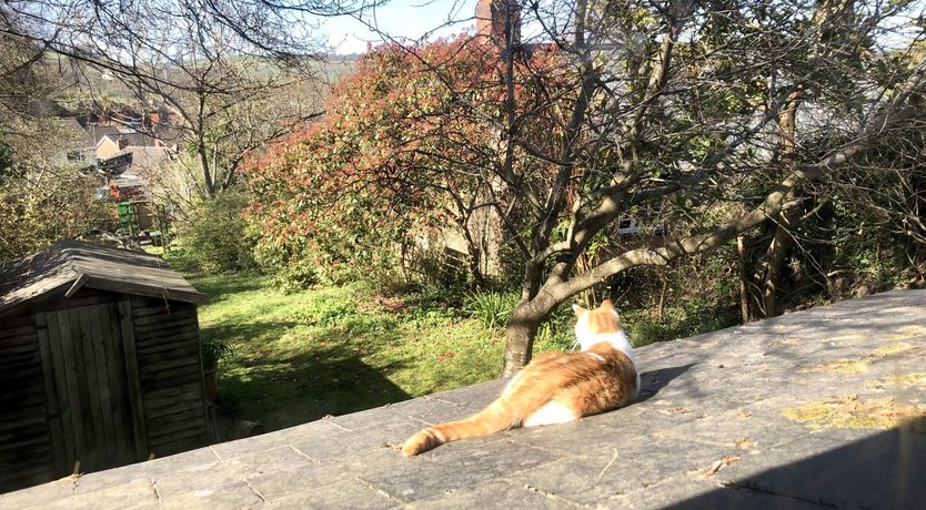 Photo of Garden Cottage, Wiveliscombe
