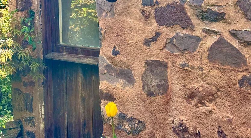 Photo of Garden Cottage, Wiveliscombe