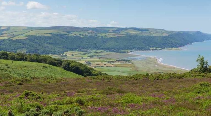 Photo of The Dog House, Porlock