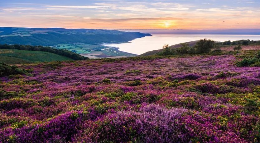 Photo of The Dog House, Porlock