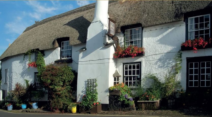 Photo of The Dog House, Porlock