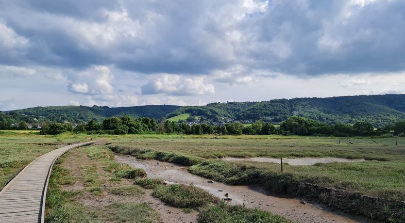 Photo of The Dog House, Porlock