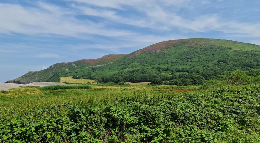 Photo of The Dog House, Porlock