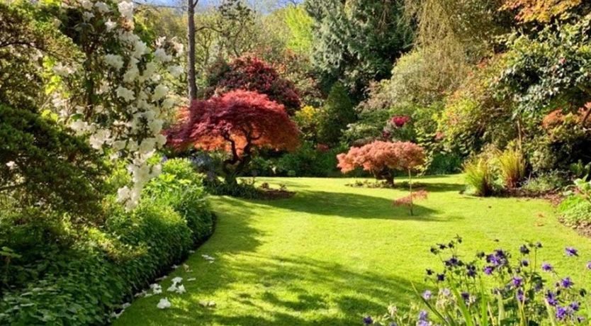 Photo of The Dog House, Porlock