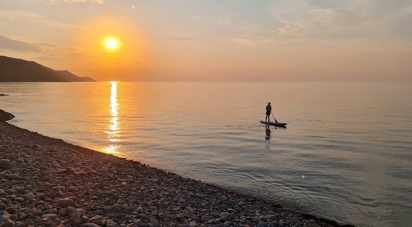 Photo of The Dog House, Porlock