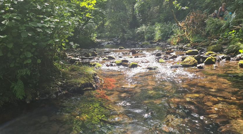 Photo of The Dog House, Porlock