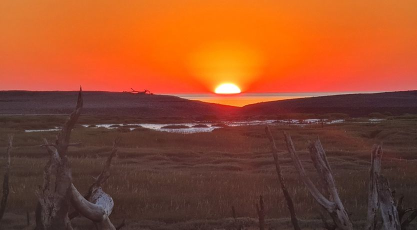 Photo of The Dog House, Porlock