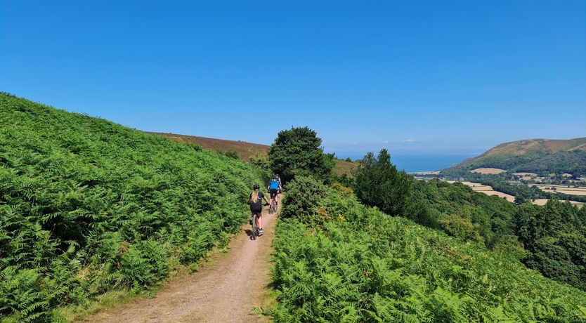 Photo of The Dog House, Porlock