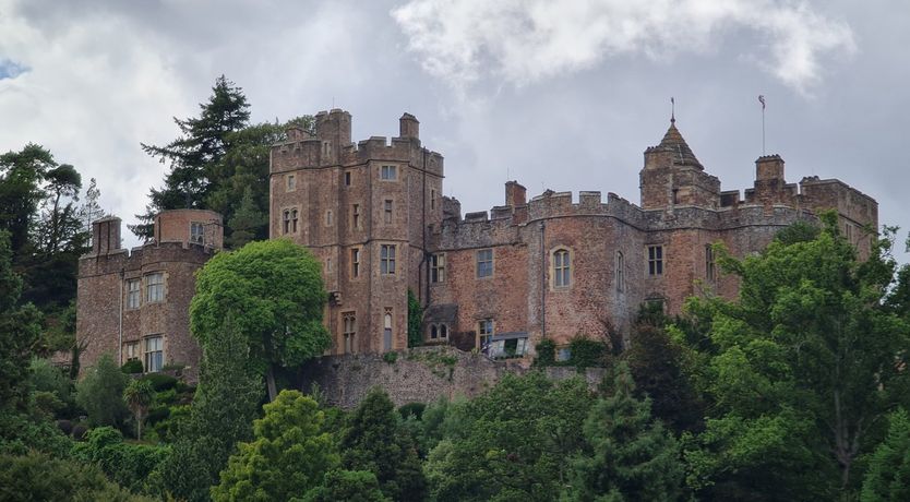 Photo of The Dog House, Porlock