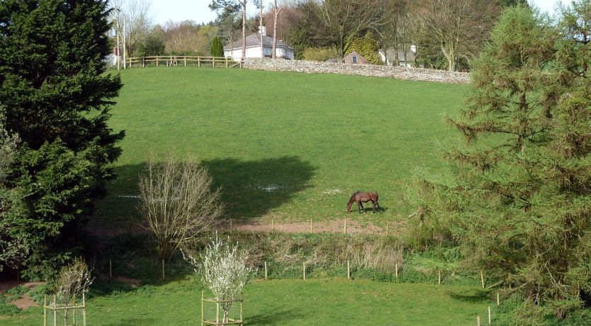 Photo of Westcott Cross Cottage, Luxborough