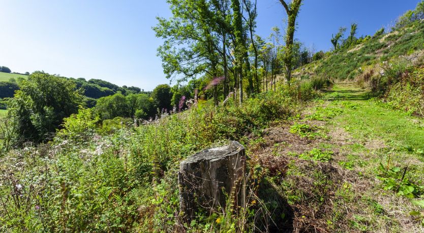 Photo of Hedgehog Cottage, Wheddon Cross