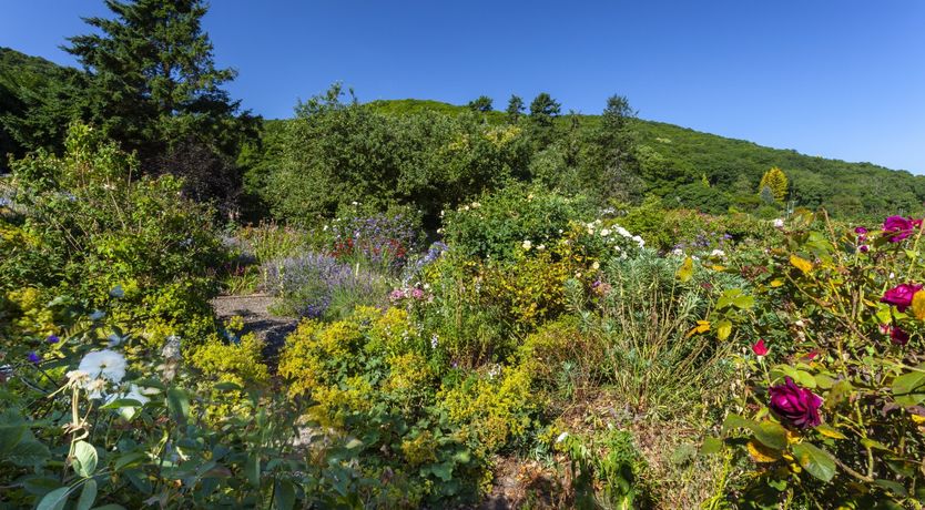 Photo of Coach House View, Porlock Weir