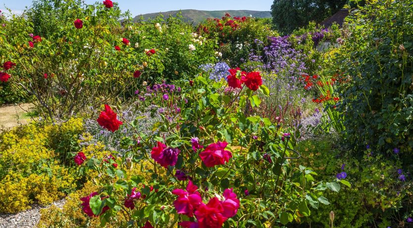 Photo of Coach House View, Porlock Weir