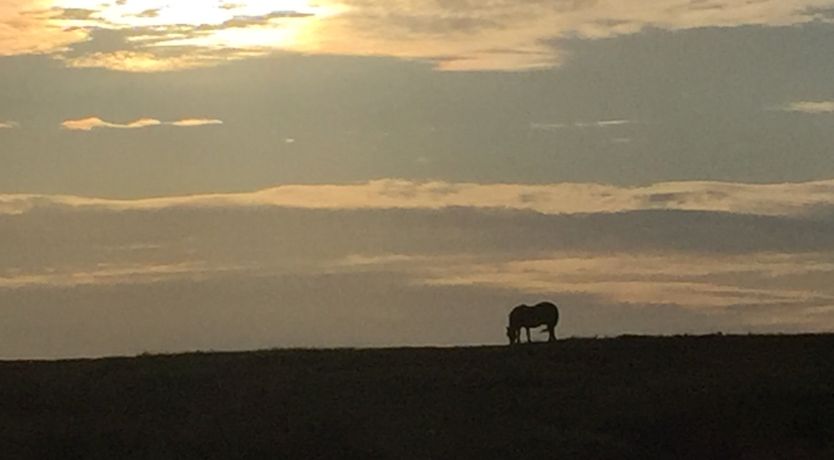 Photo of Withymead, Withypool