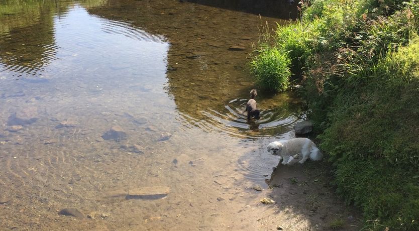 Photo of Withymead, Withypool