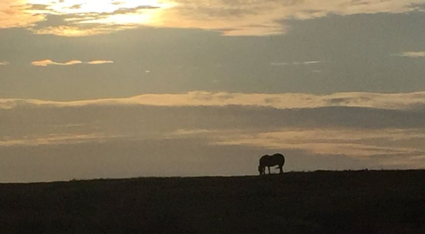 Photo of Withymead, Withypool