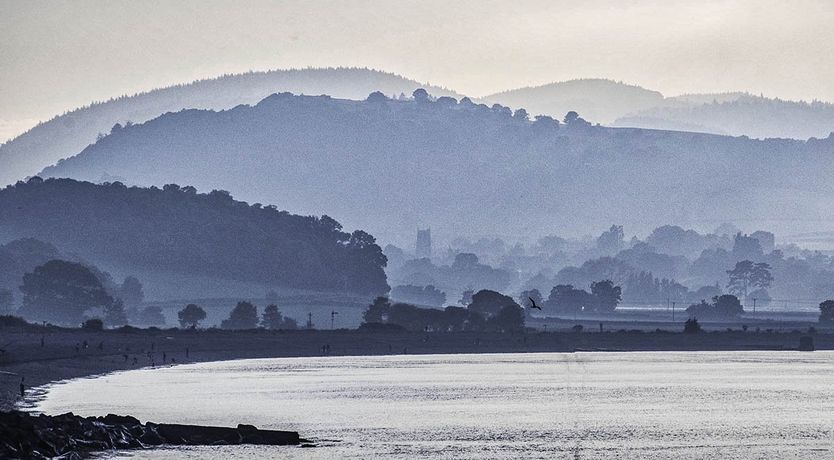 Photo of Pines, Cleeve Park