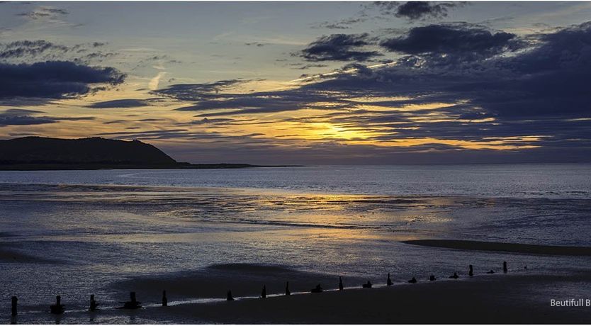 Photo of Pines, Cleeve Park