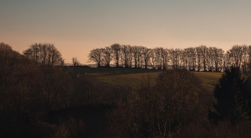 Photo of Little House in the Big Woods, Brendon Hill